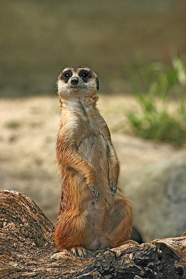 What's up... by Mitja Vodušek