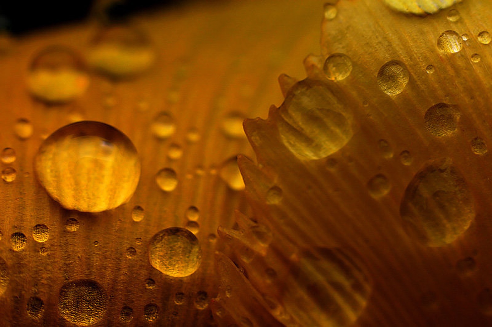 Soft drops by Mitja Vodušek