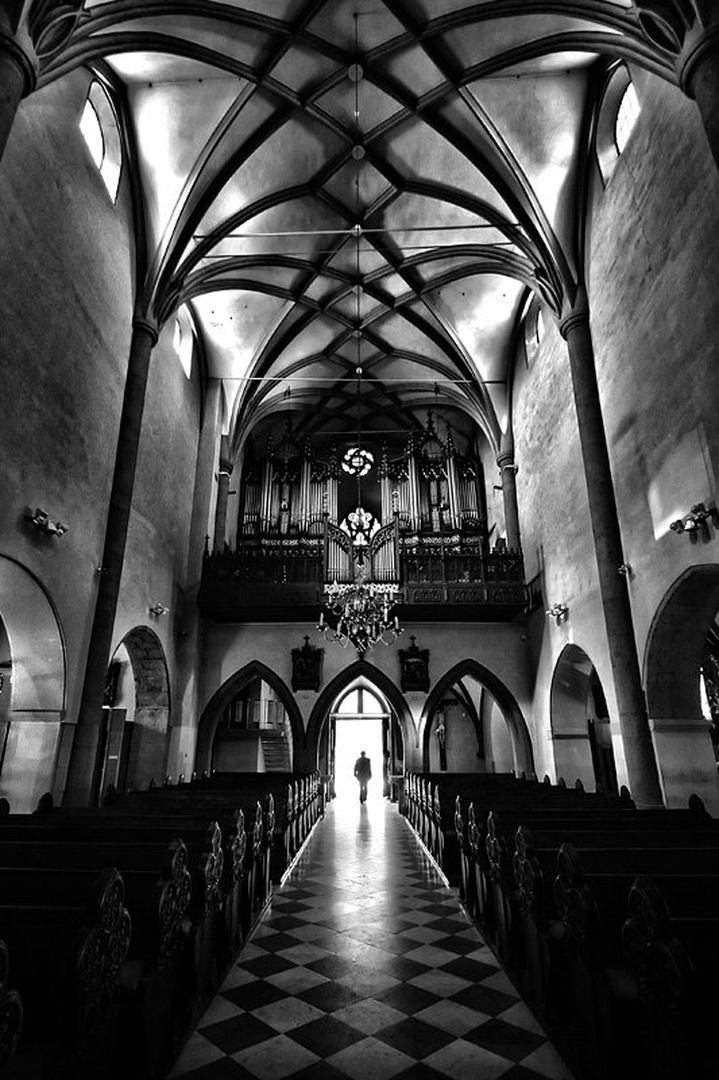 In to the light by Mitja Vodušek