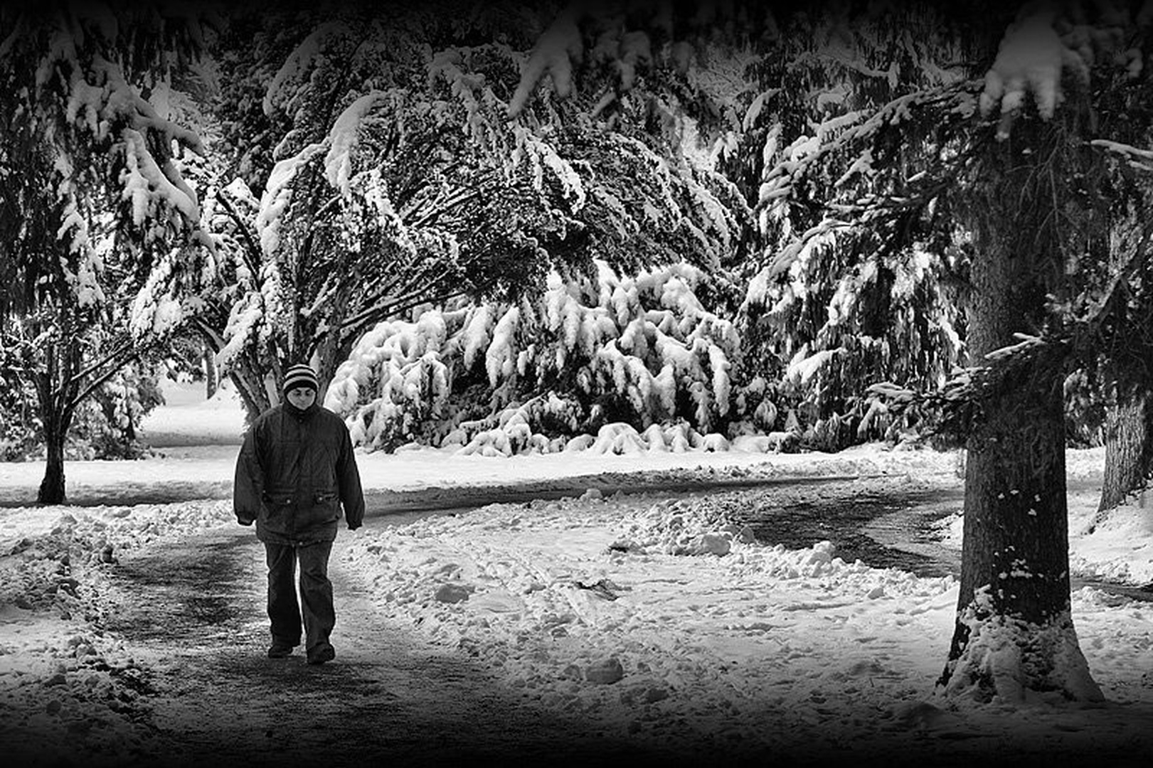 Walk on the circle of life by Mitja Vodušek