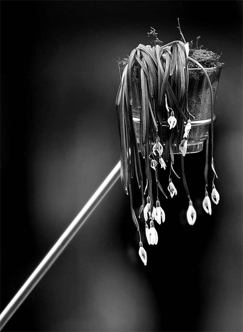 When you don't have anyone to share with by Mitja Vodušek