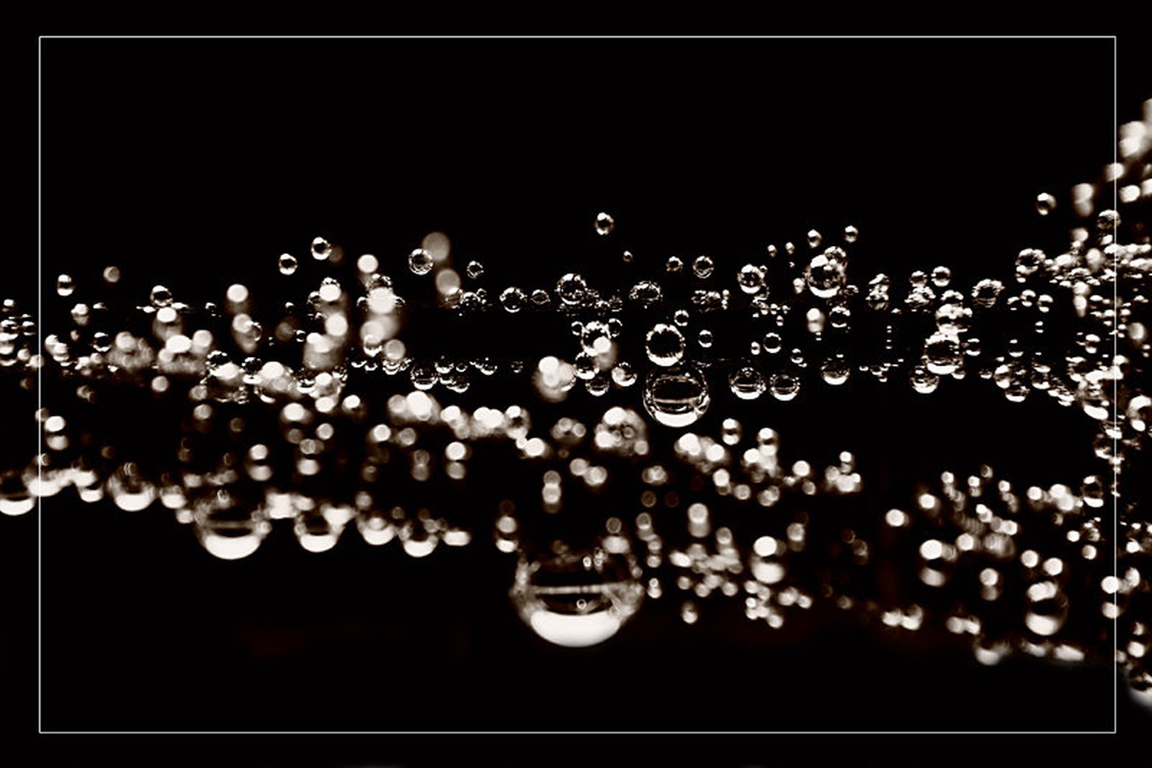 Black_Pearls by