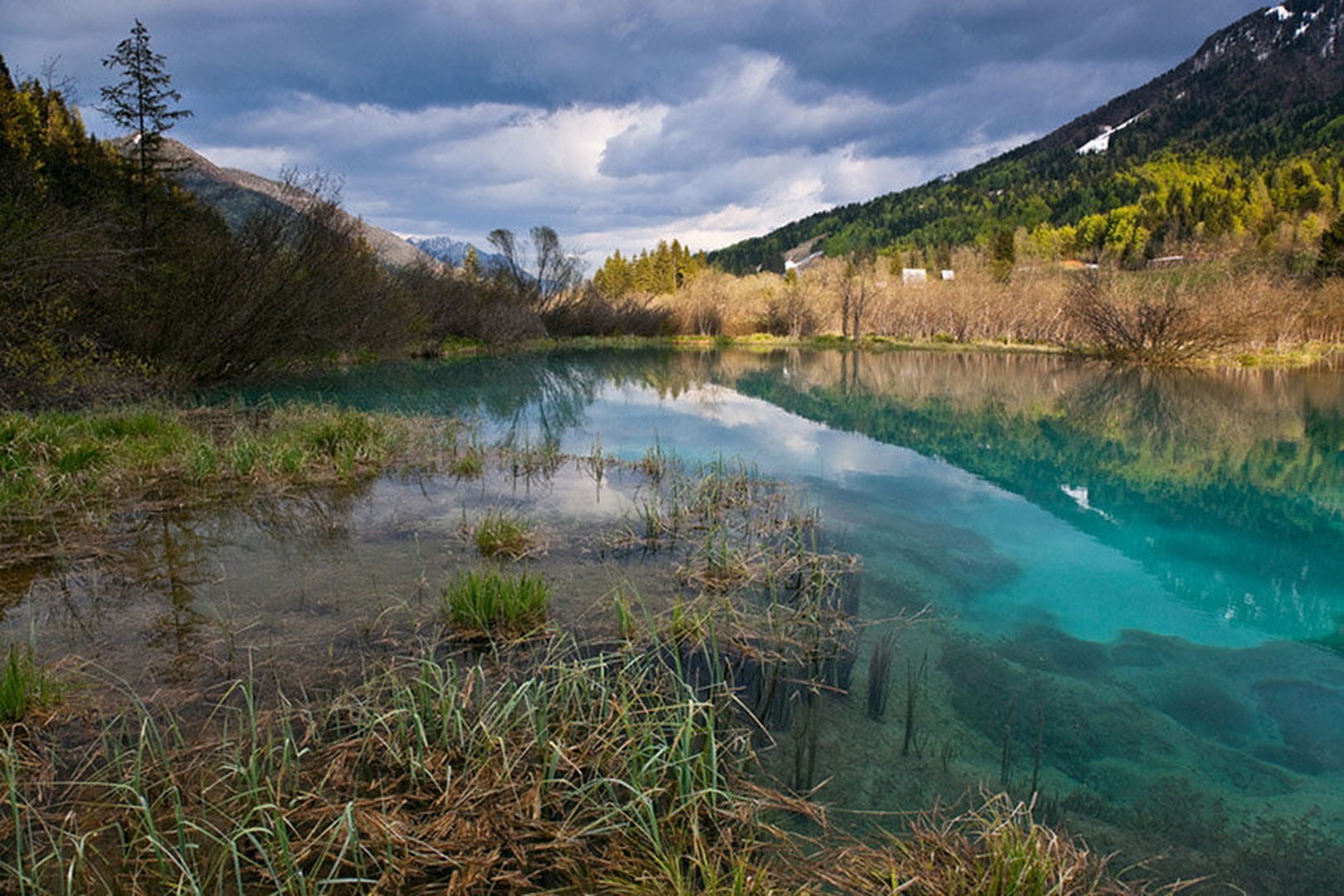 zelenci by Robert Brezigar