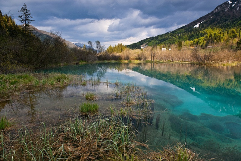 zelenci by Robert Brezigar