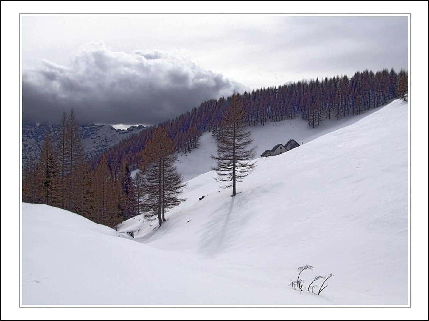 Planina Bieliga by Vid Pogačnik