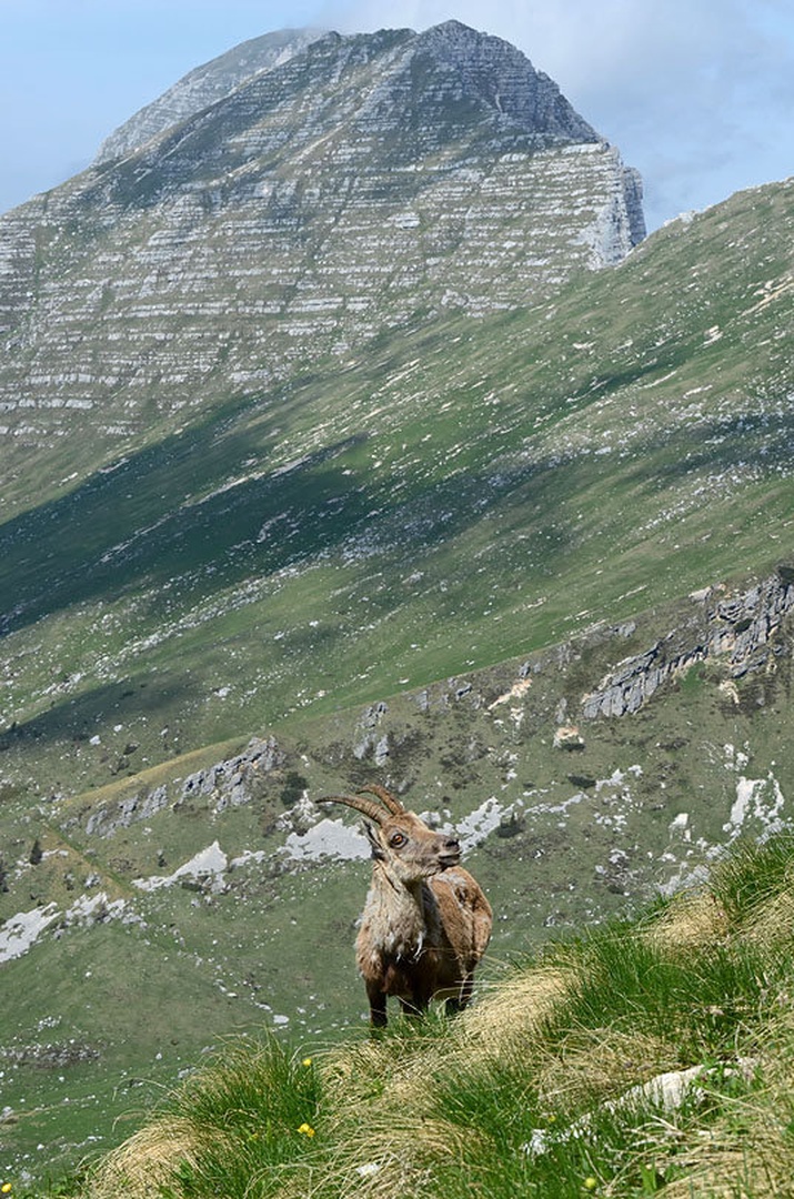 strma peč by nenad