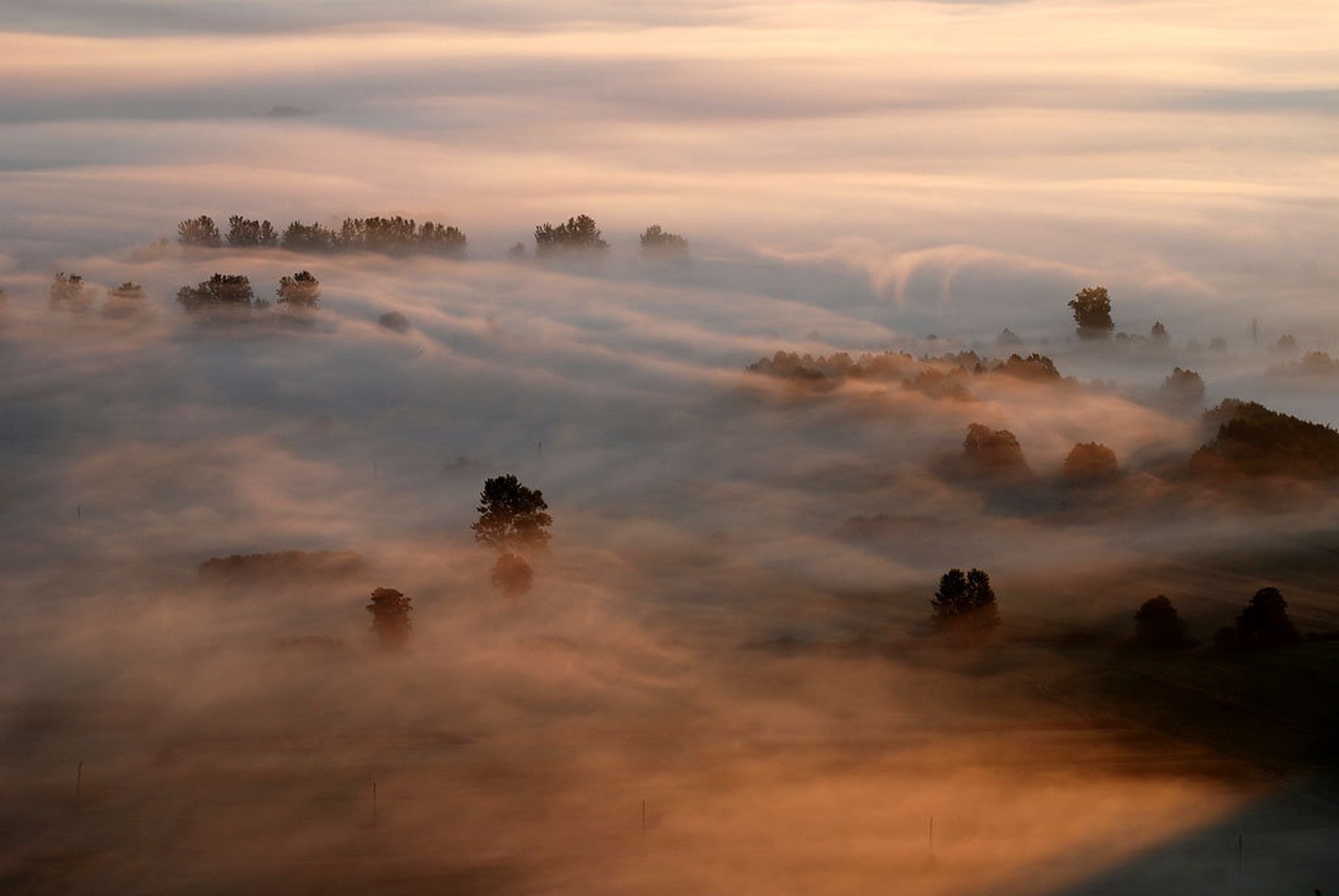 jutro by nenad