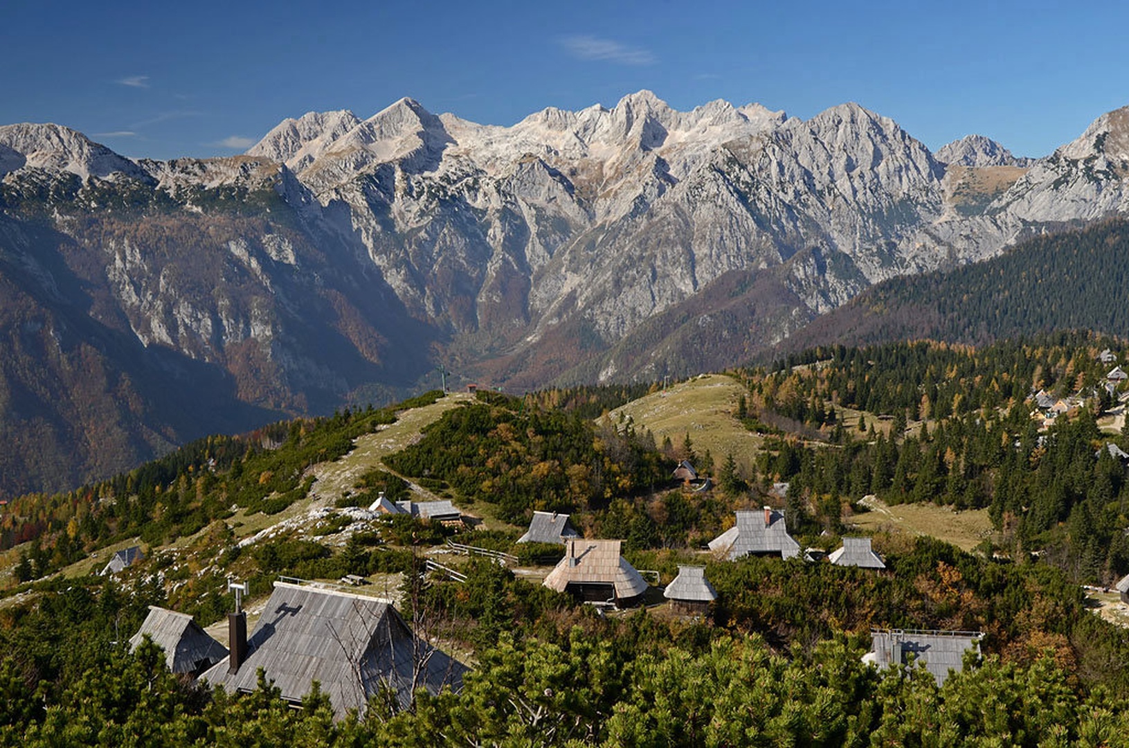 velika planina by nenad