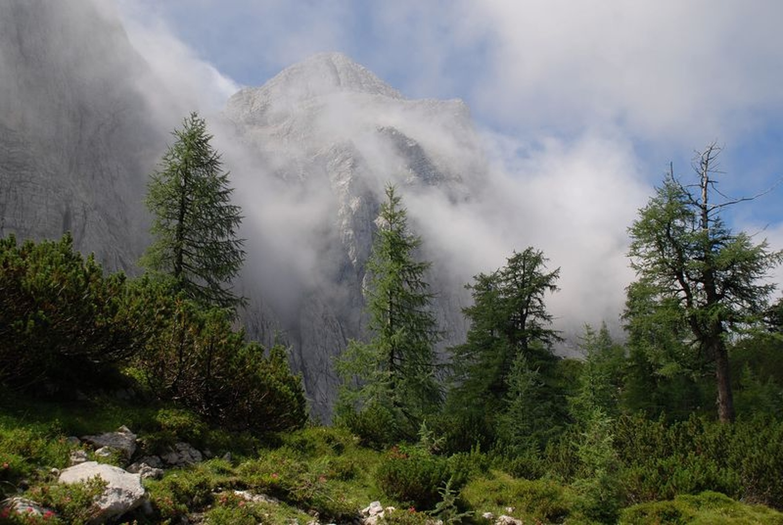 mojstrovka by nenad