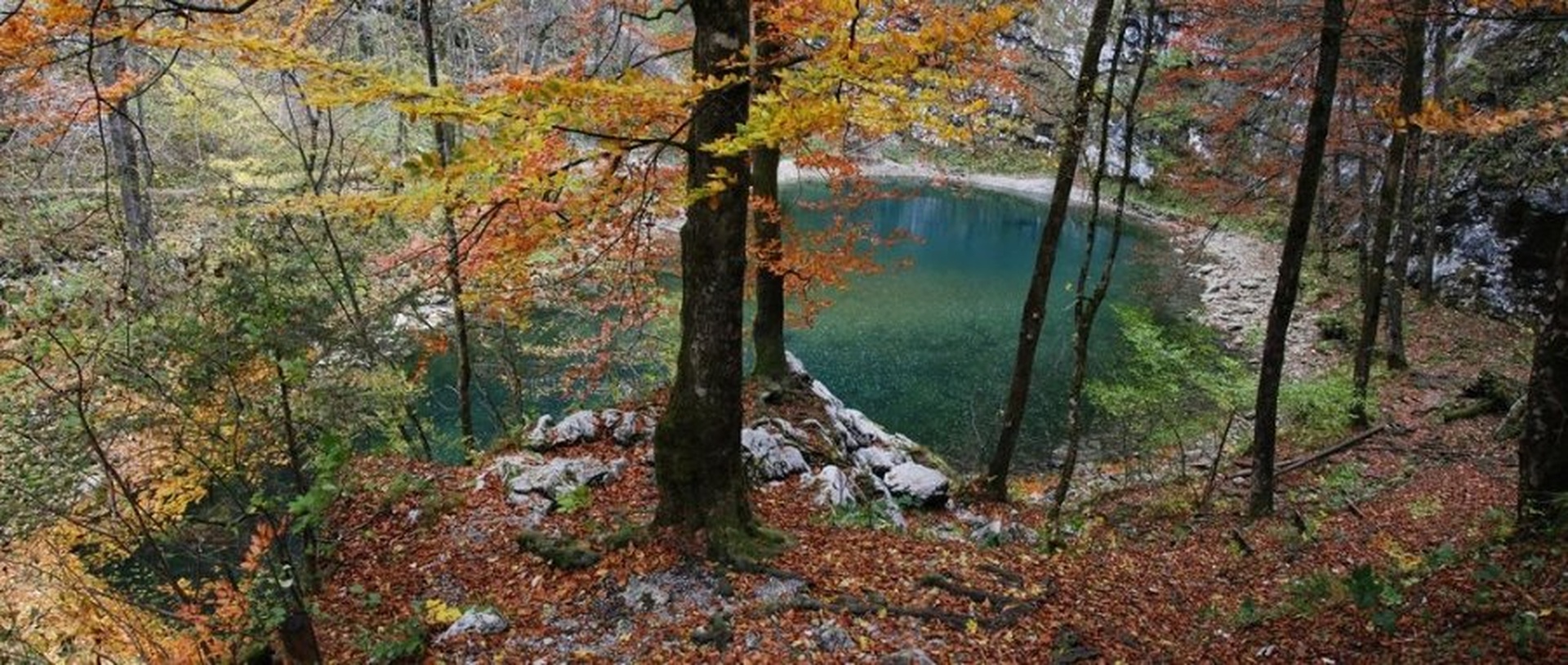 divje jezero by nenad