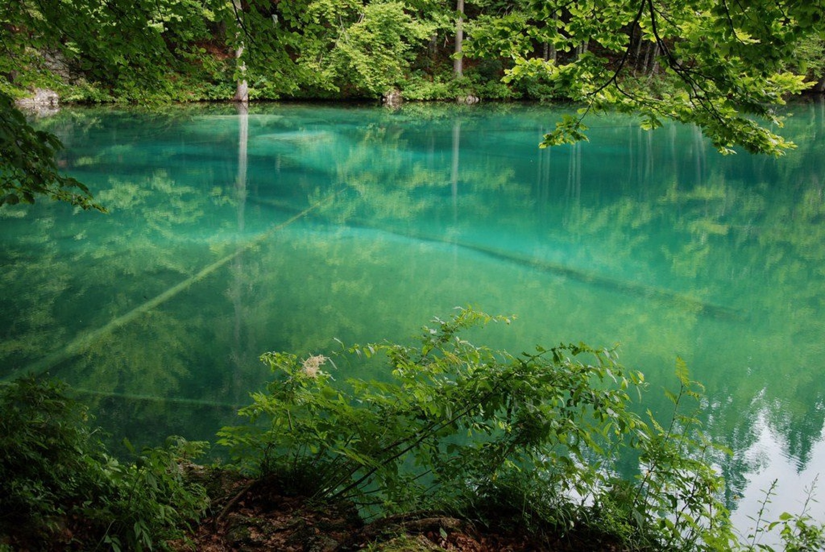 laghi di fusine by nenad