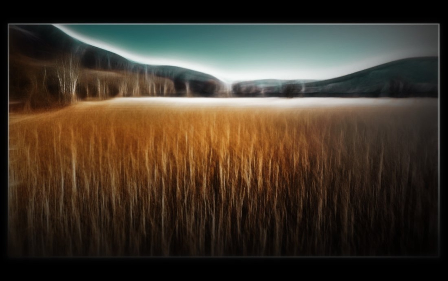 Trsje in Jezero by David Furlan