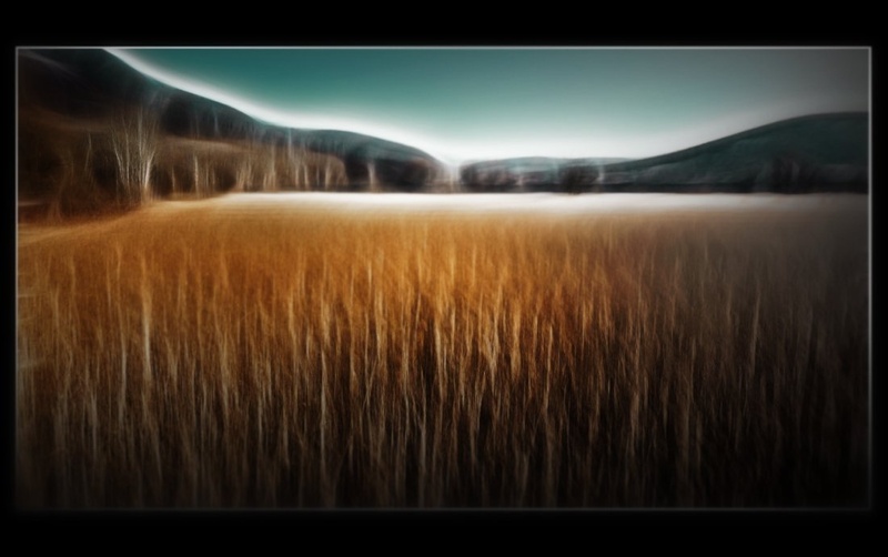 Trsje in Jezero by David Furlan
