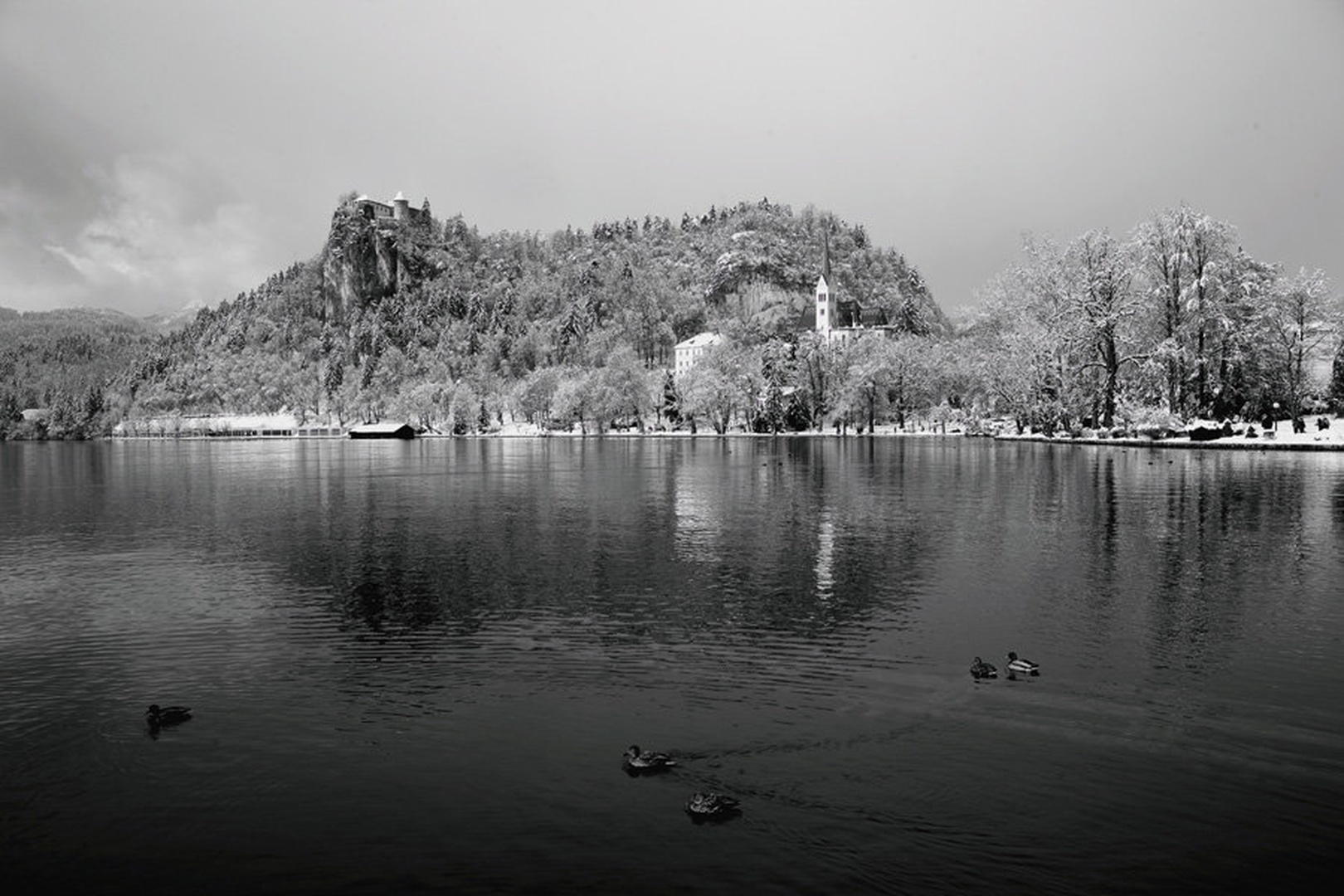 Bled pozimi! by planinc