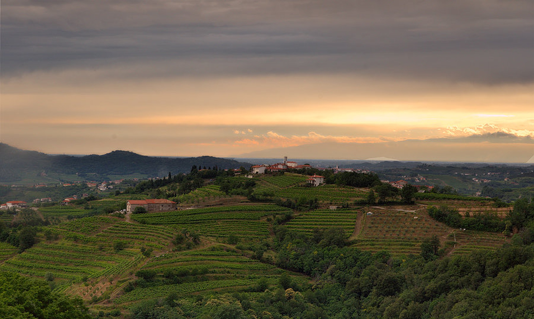 collio by