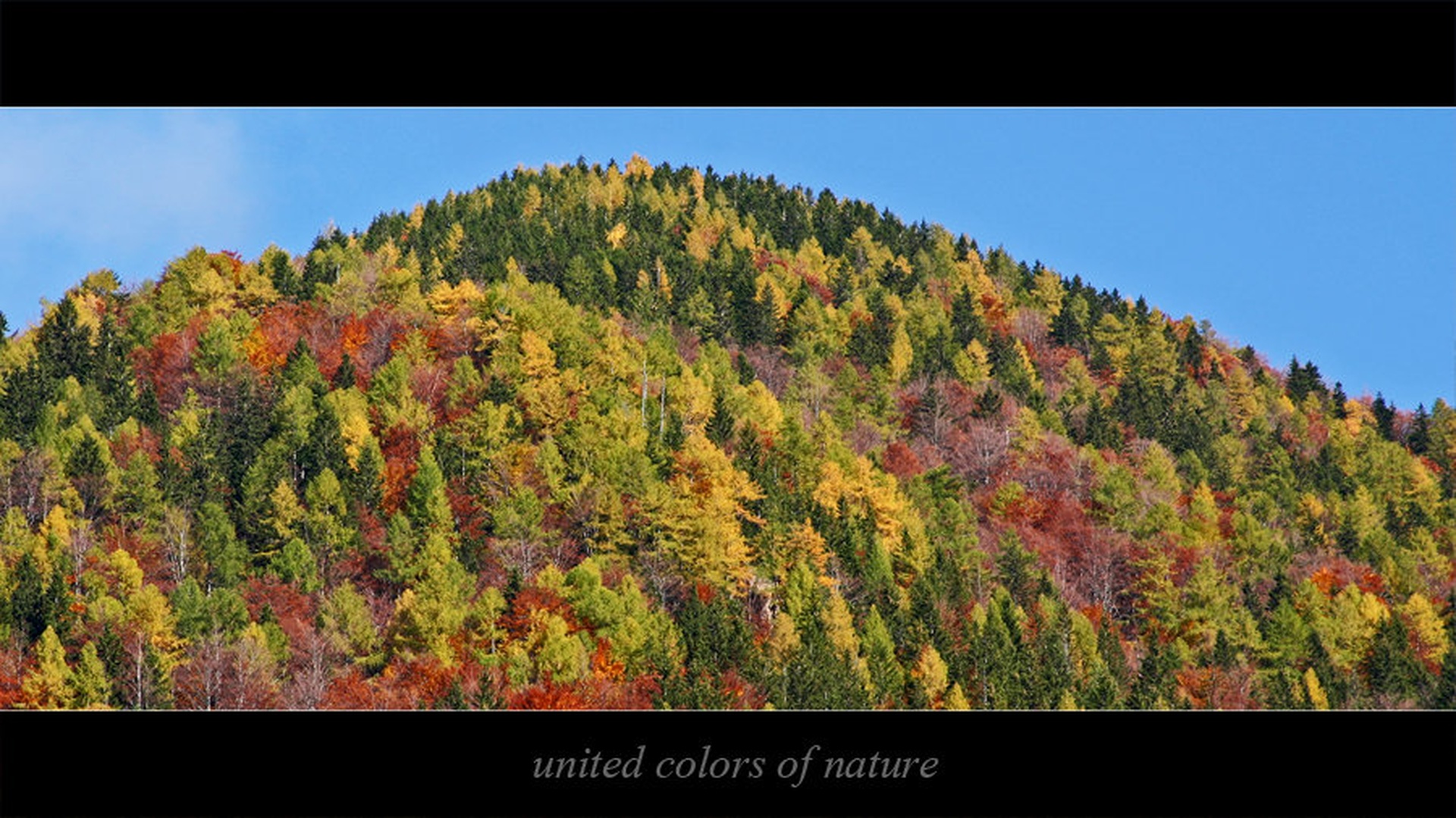 united colors of nature by Tomaz Volaj