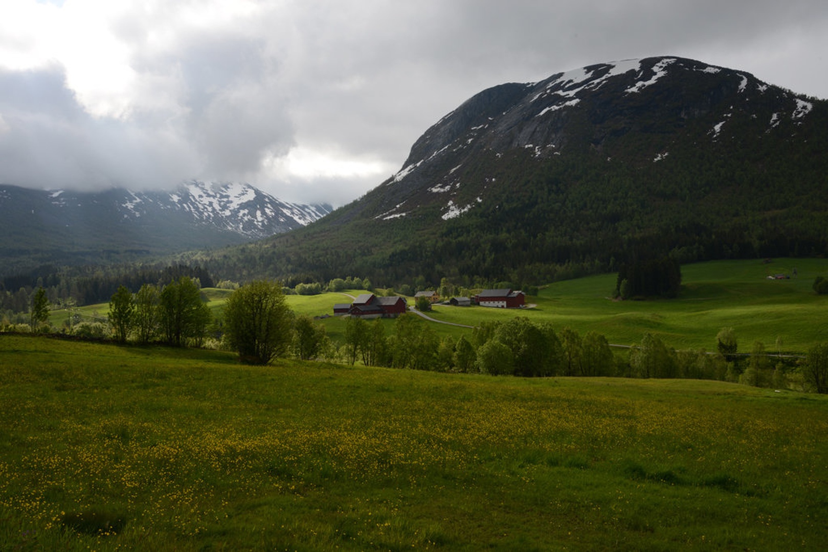 Norge 2532 by Jani Novak