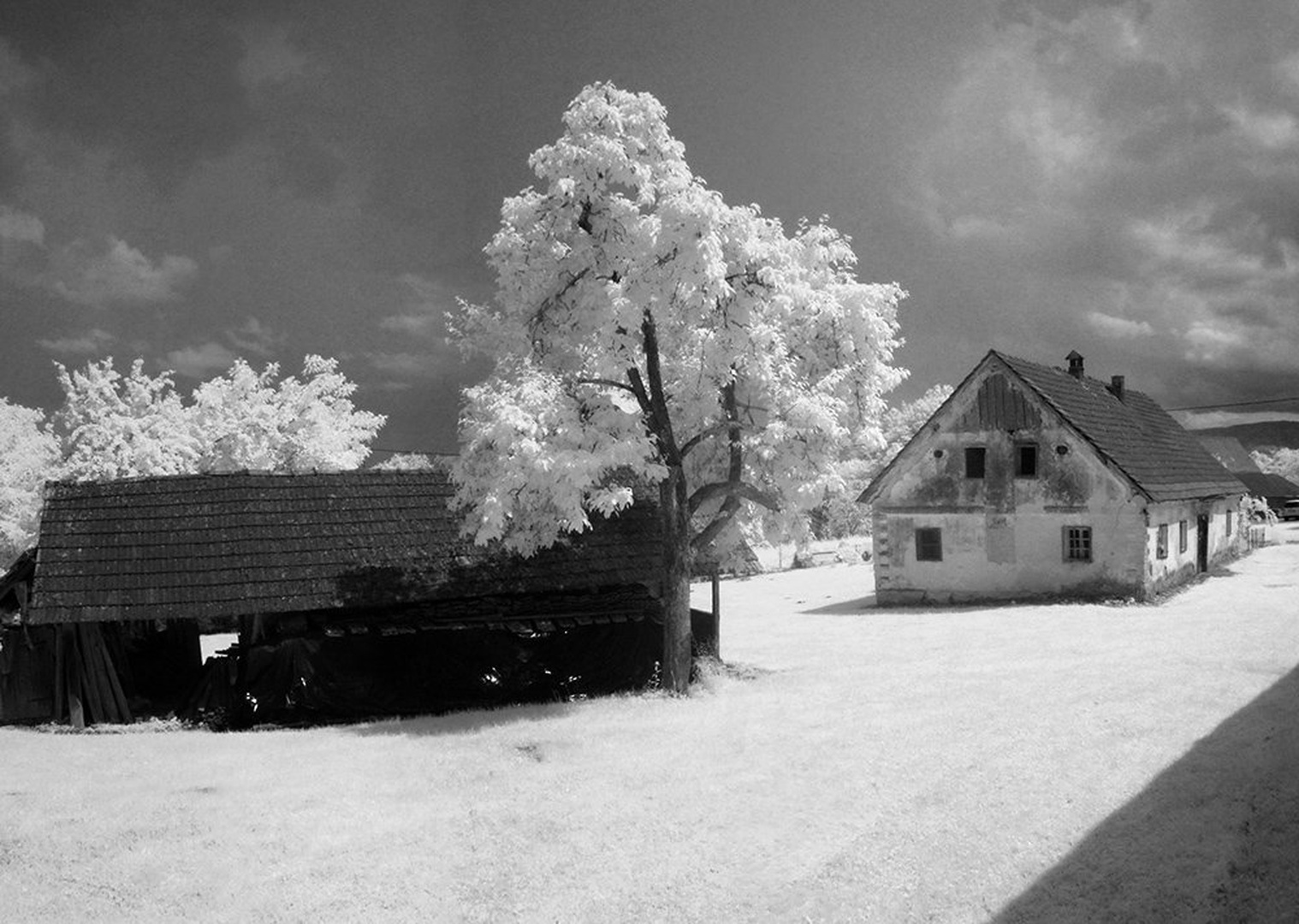 Dolenjska IR by Jani Novak