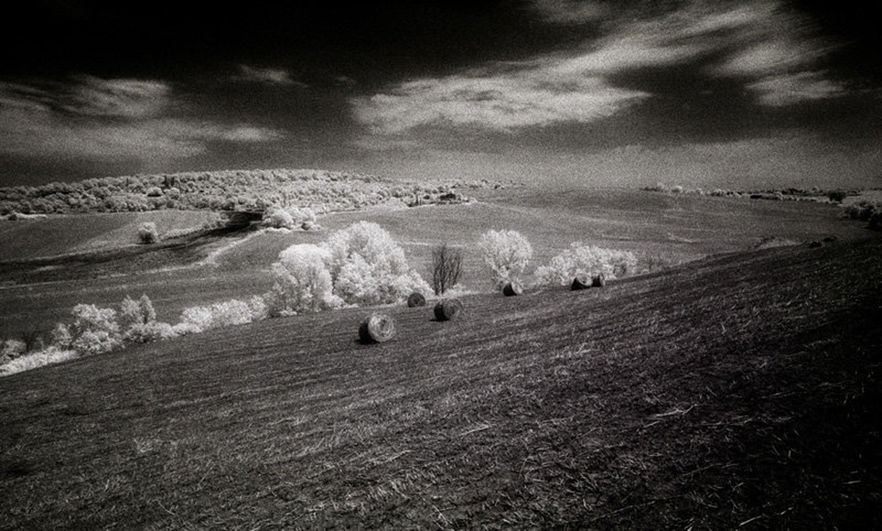 Toscana IR 6 by Jani Novak