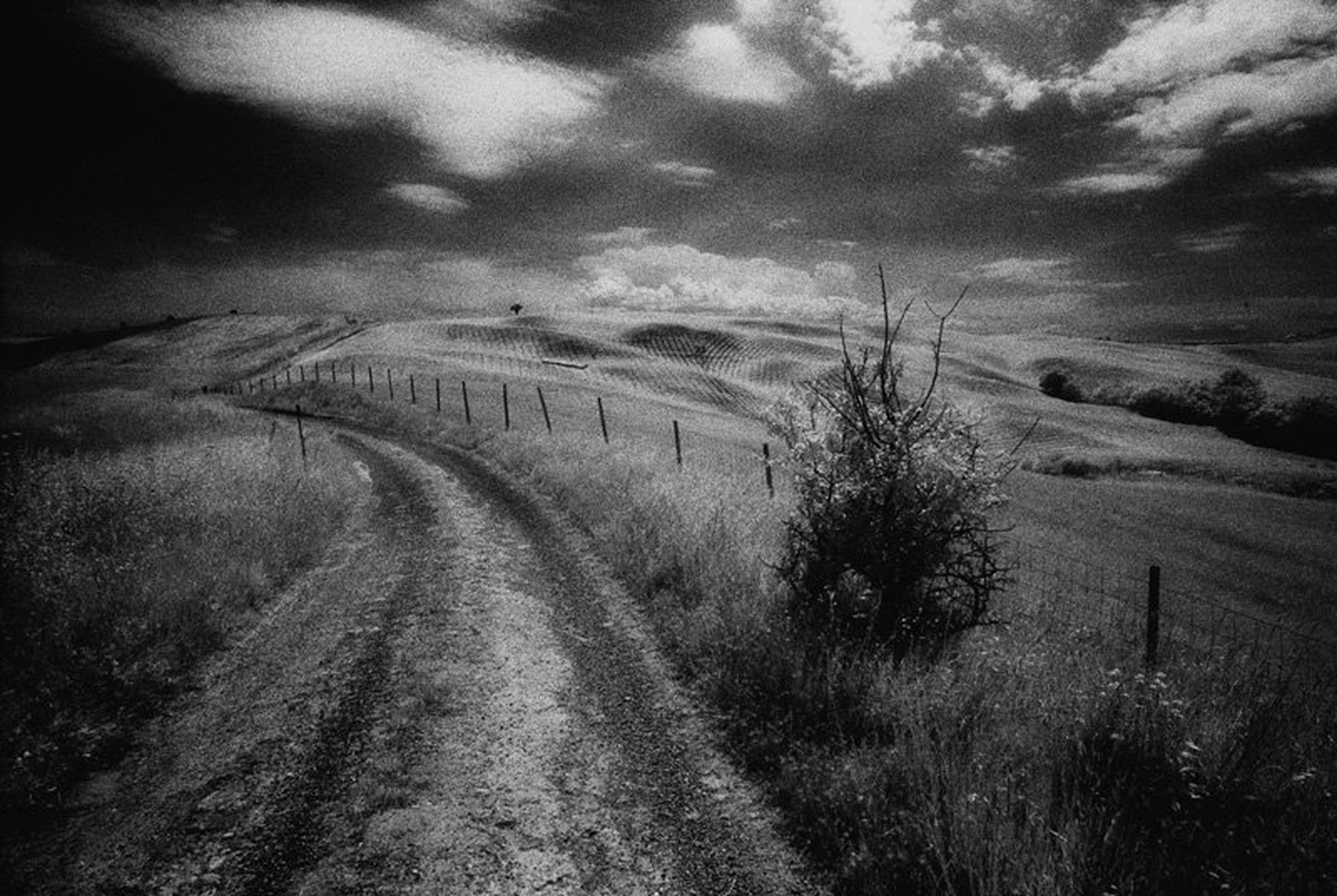 Toscana IR 8 by Jani Novak