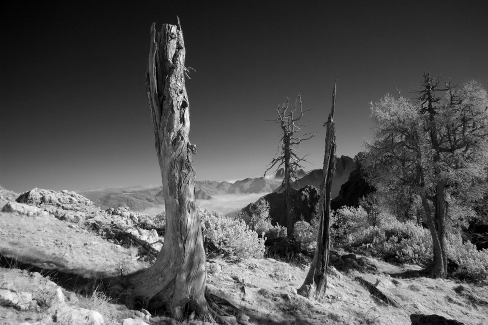 Sleme 1006 IR by Jani Novak