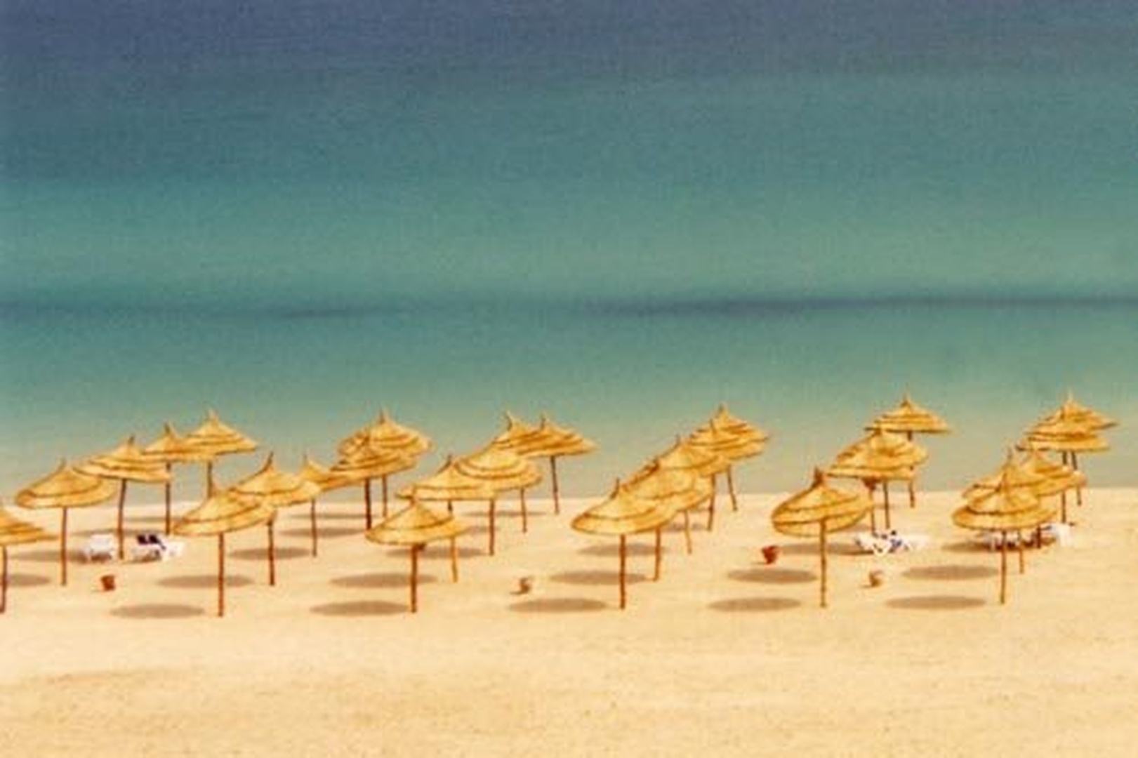 summer dreams by tija