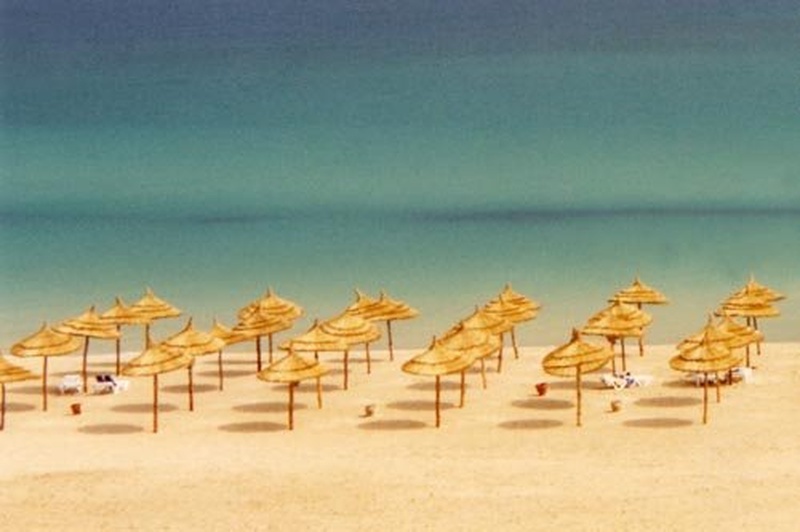 summer dreams by tija