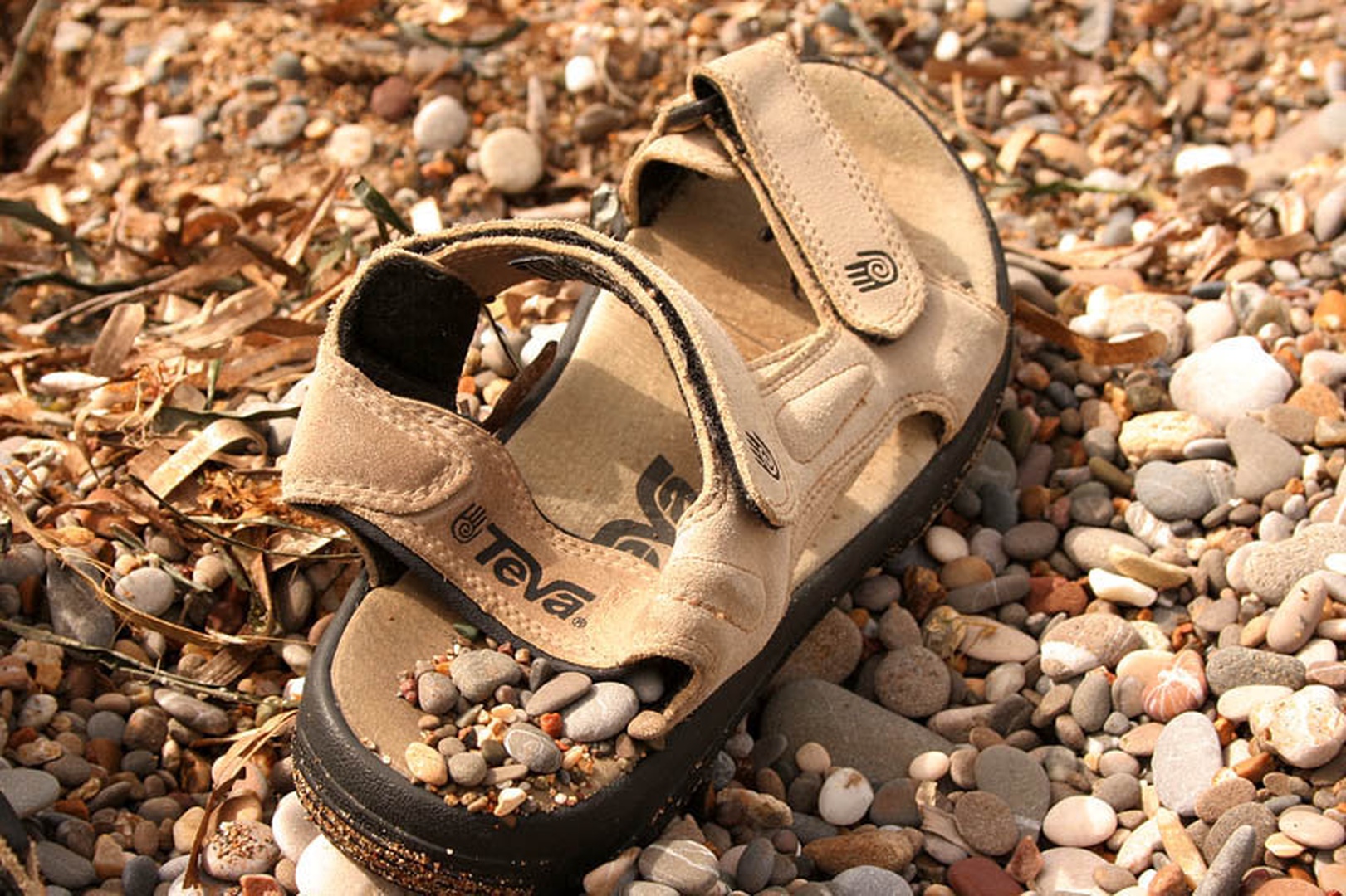teva by tija