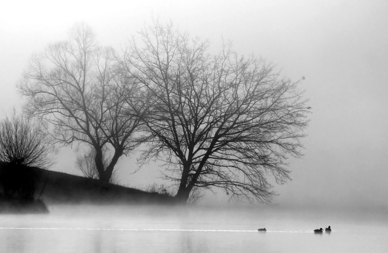 Megleno jutro by Rok Lešek