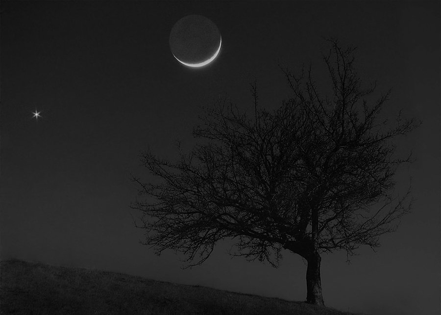 Luna in Venera by Rok Lešek