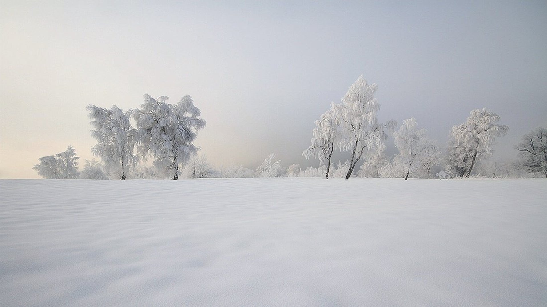 Kočevska na minus 20 by Marjan Artnak