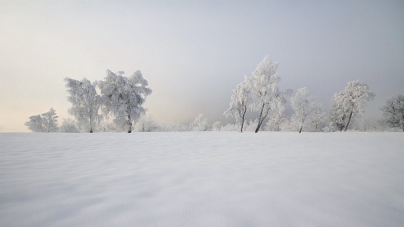 Kočevska na minus 20 by Marjan Artnak