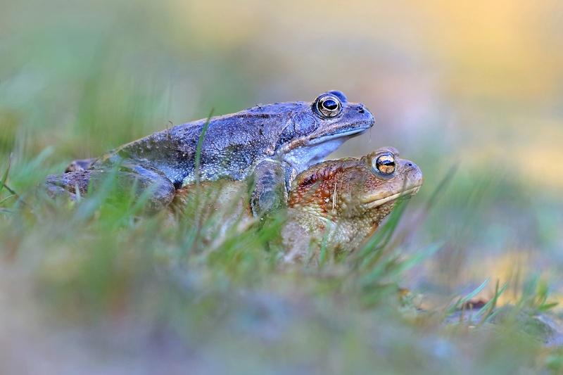 "Princip je isti, vse ostalo so nianse" by Marjan Artnak