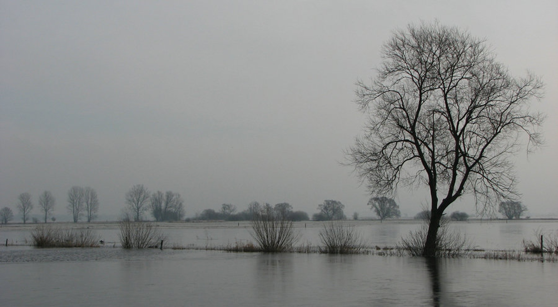 brezbarvno jutro by