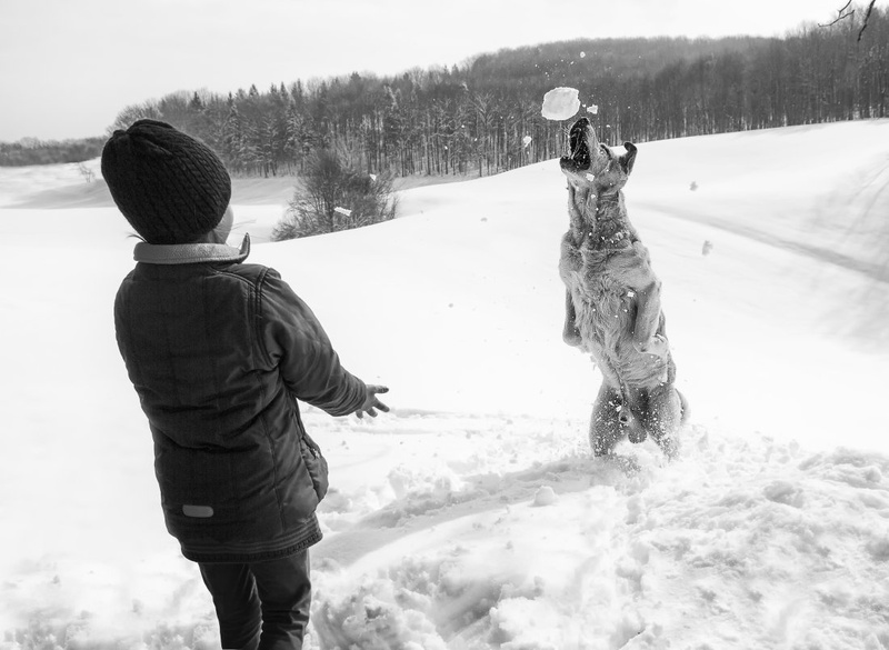 Snow hunter by Boštjan Rančigaj