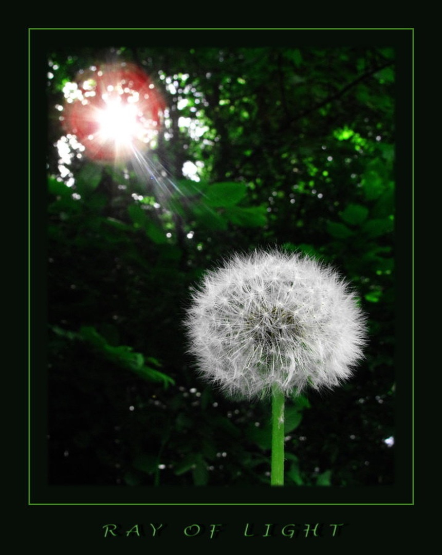 Ray of light by Boštjan Rančigaj