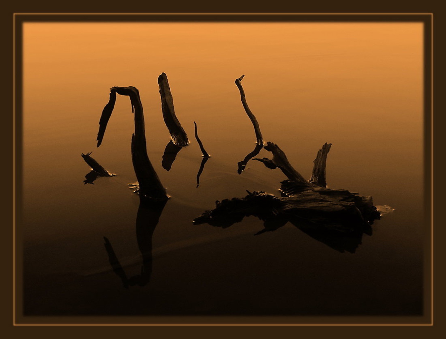 * by Boštjan Rančigaj