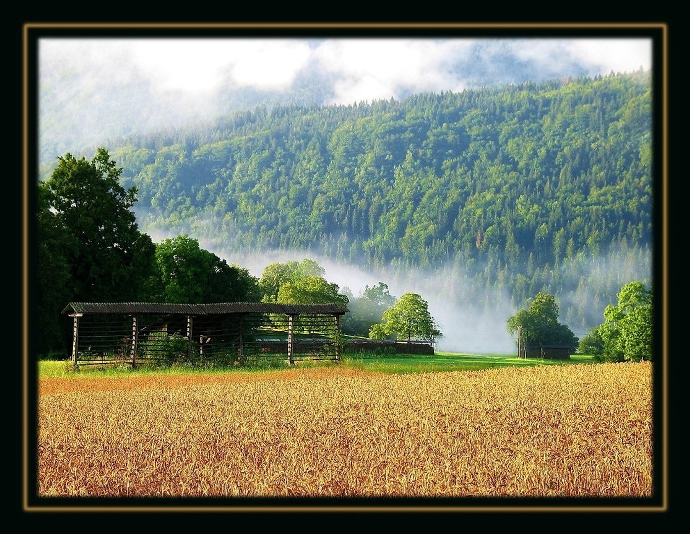 Poletno jutro by Boštjan Rančigaj