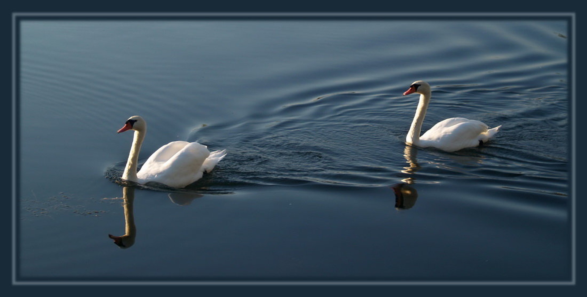 Follow me... by Boštjan Rančigaj