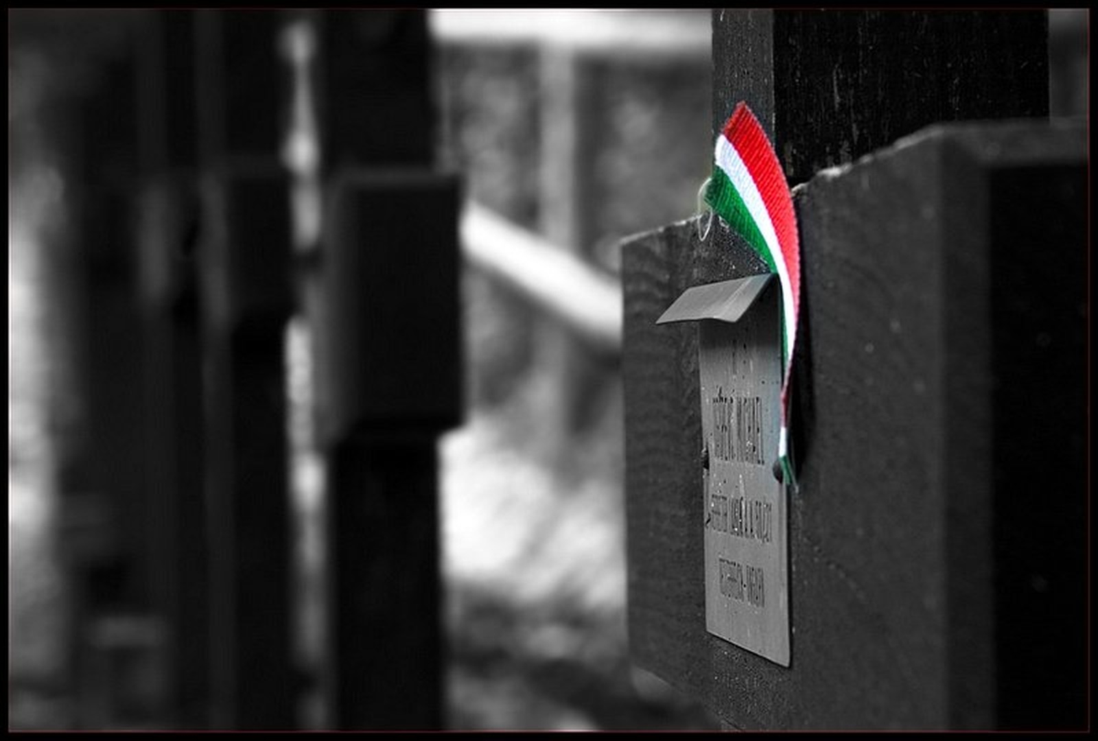 Delček patriotizma by Duško Dokošič