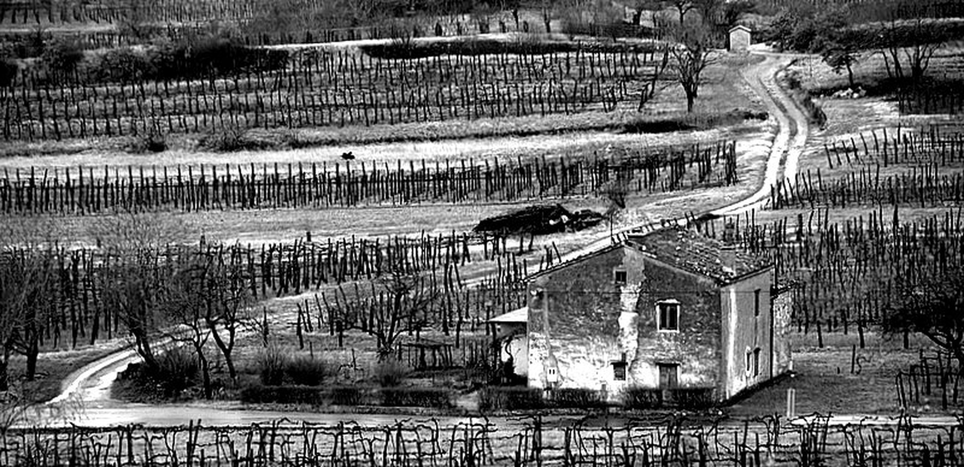 Hibernacija by Duško Dokošič