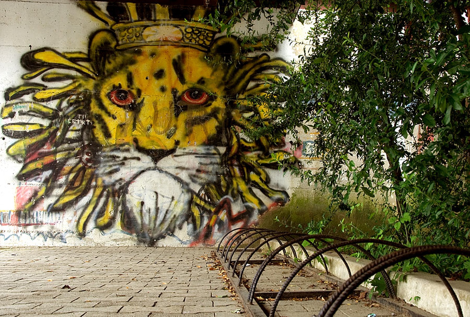 Kralj brez podanikov by Duško Dokošič