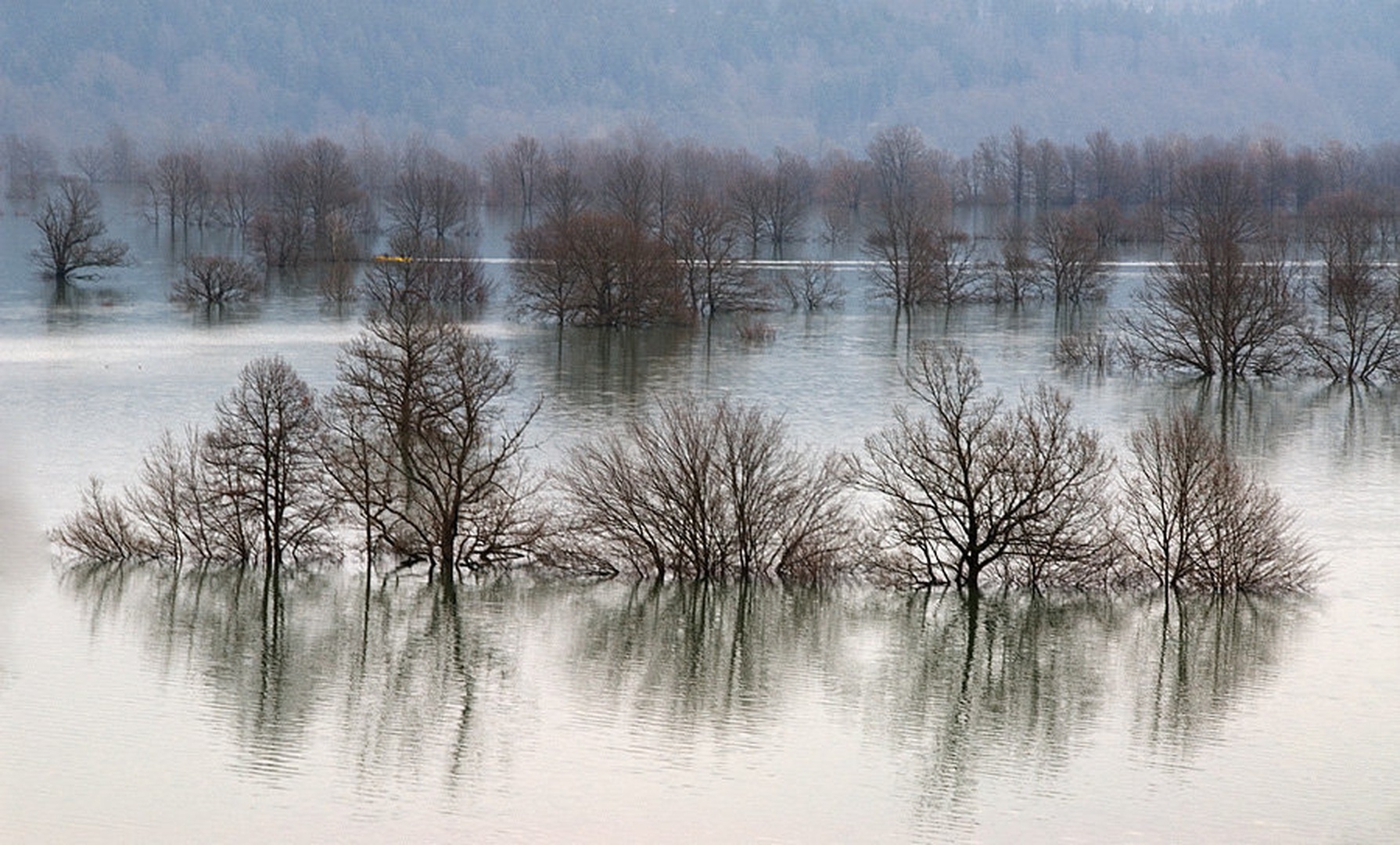 Jezersko tihožitje by Duško Dokošič