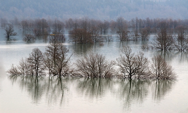 Jezersko tihožitje by Duško Dokošič