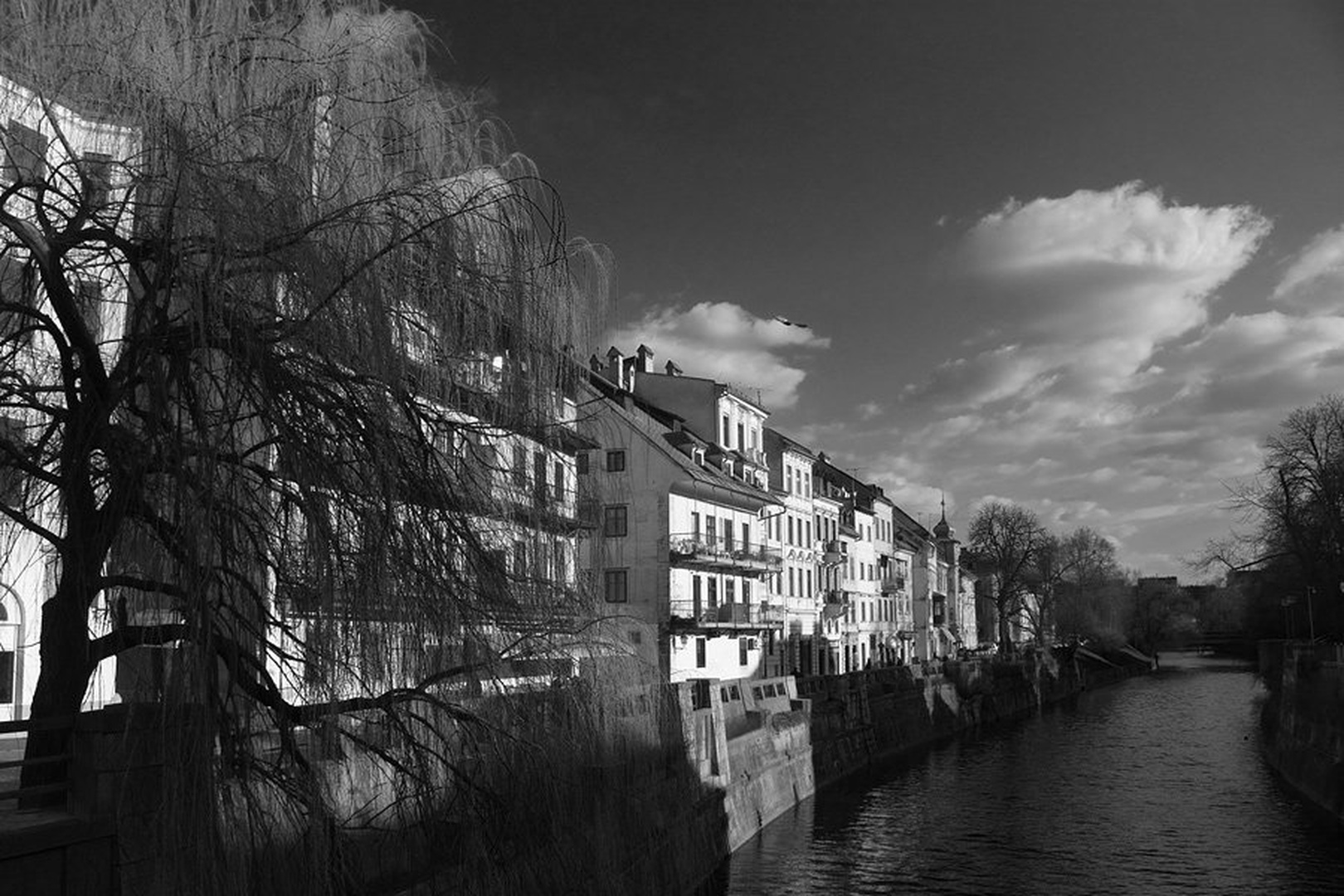 Ob Ljubljanici by Duško Dokošič