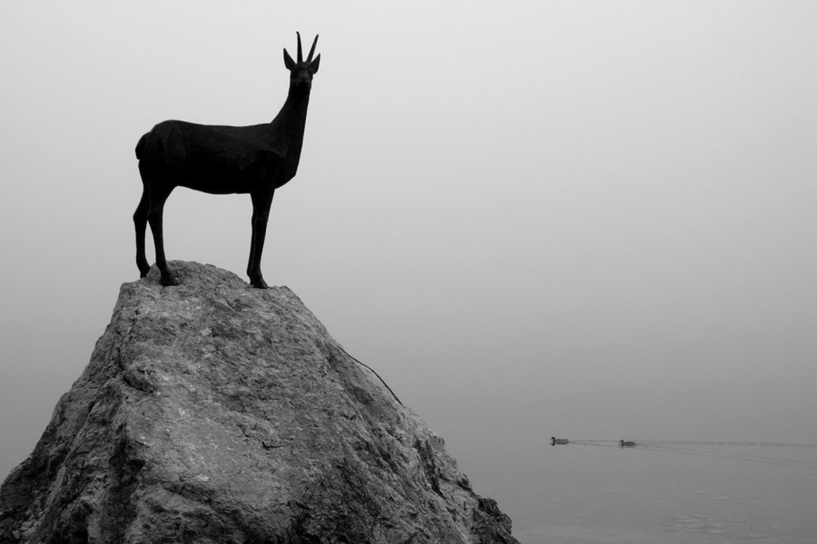 Al' jezero, ki na njegá pokraj'ni stojiš... by Duško Dokošič