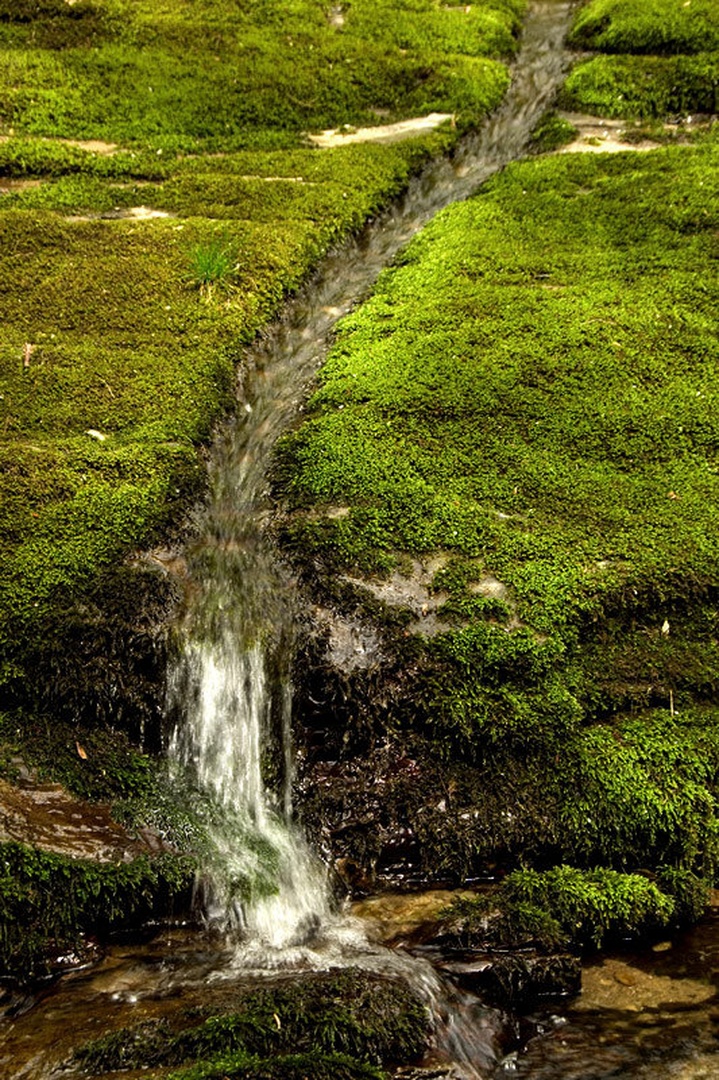 Strugica by Duško Dokošič