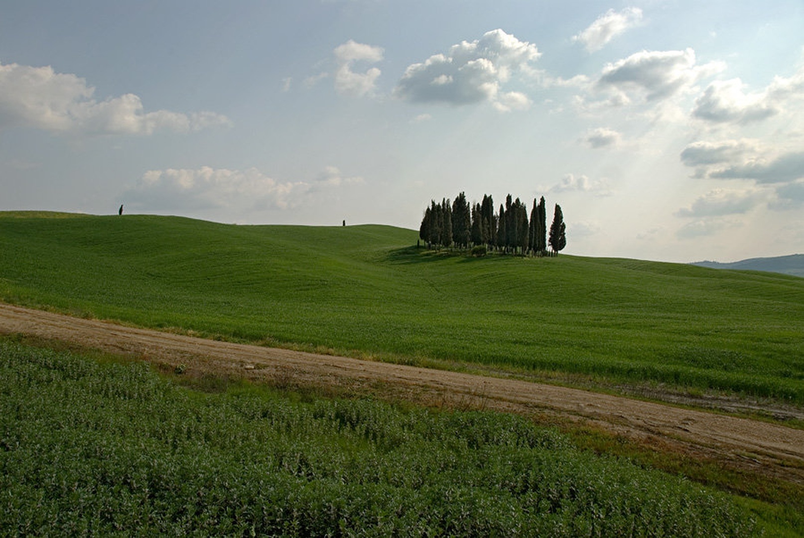 Cypress Hill by Duško Dokošič