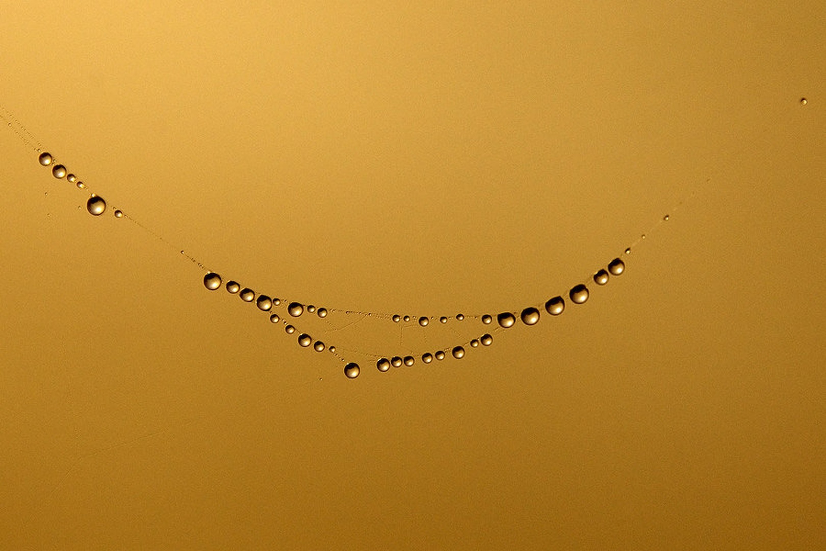 Ogrlica by Duško Dokošič