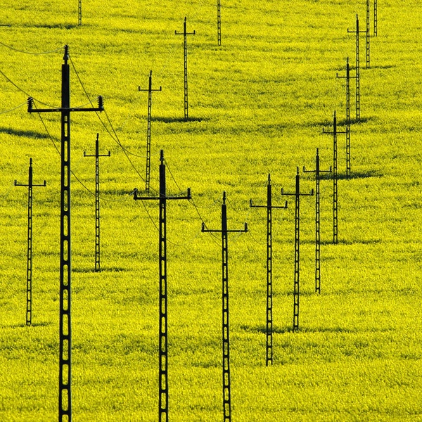 Vrste by Duško Dokošič